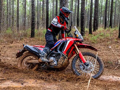 2024 Honda CRF300L Rally ABS in Mentor, Ohio - Photo 5