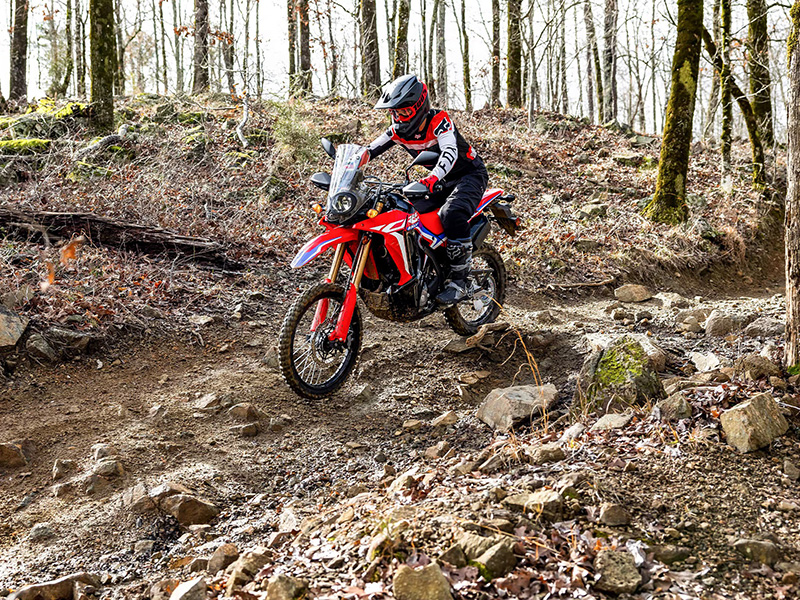 2024 Honda CRF300L Rally ABS in Mentor, Ohio - Photo 6