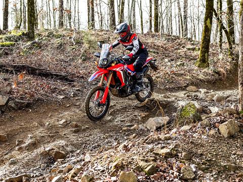 2024 Honda CRF300L Rally ABS in Mentor, Ohio - Photo 6