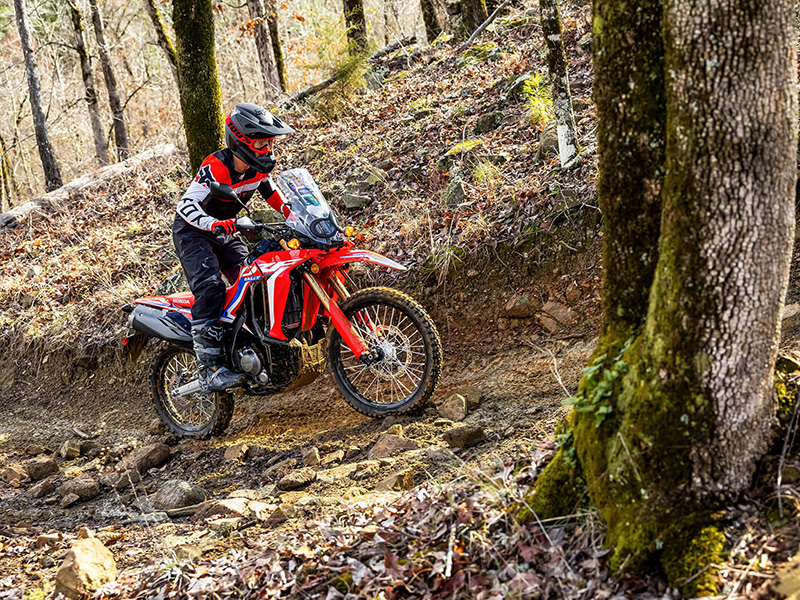 2024 Honda CRF300L Rally ABS in Mentor, Ohio - Photo 7