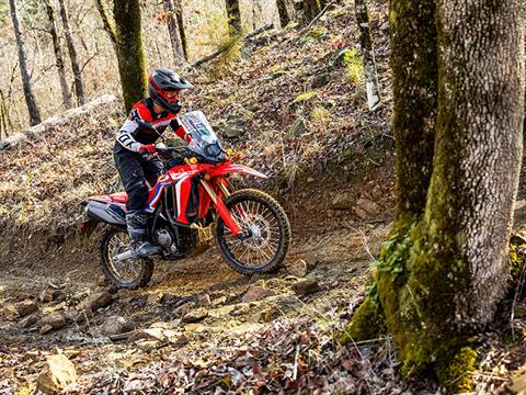 2024 Honda CRF300L Rally ABS in Mentor, Ohio - Photo 7