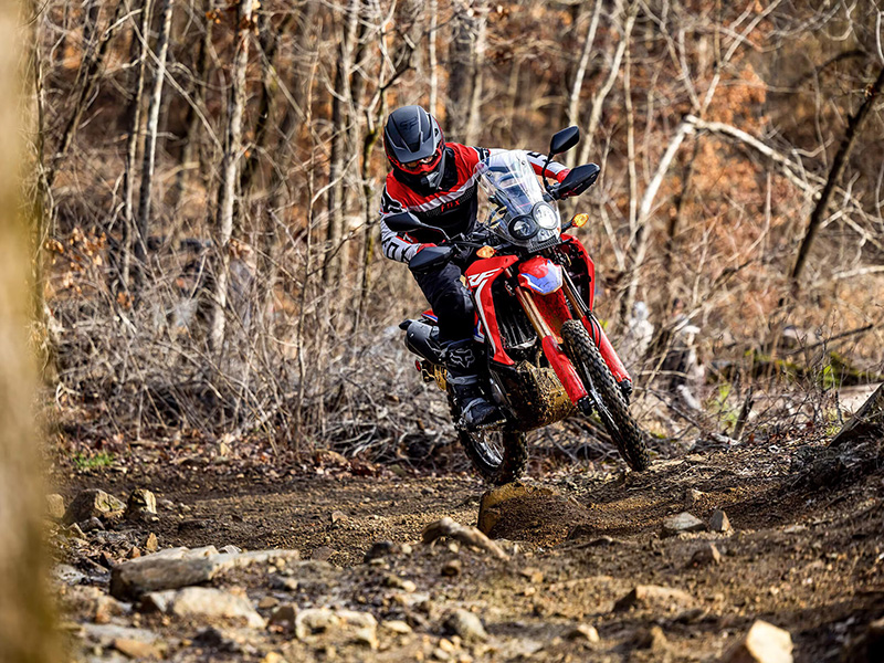 Crf300l rally price online