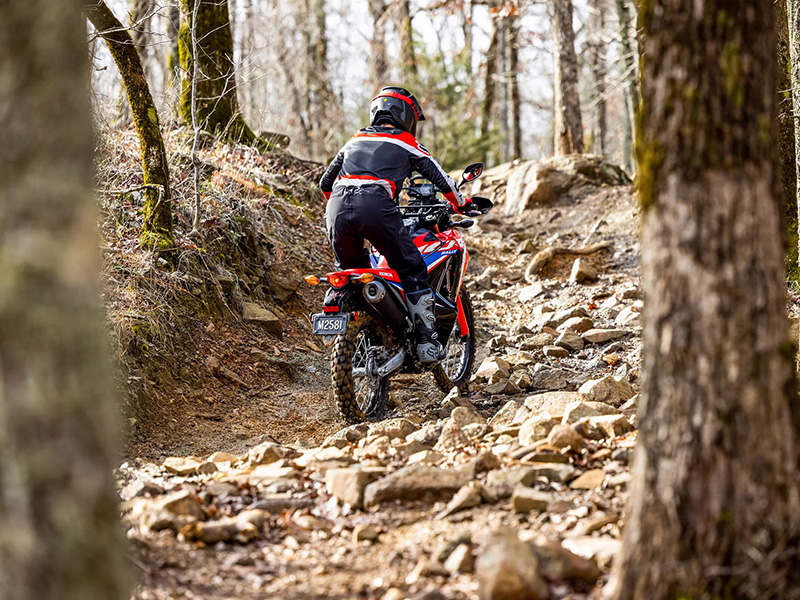 2024 Honda CRF300L Rally ABS in Mentor, Ohio - Photo 9