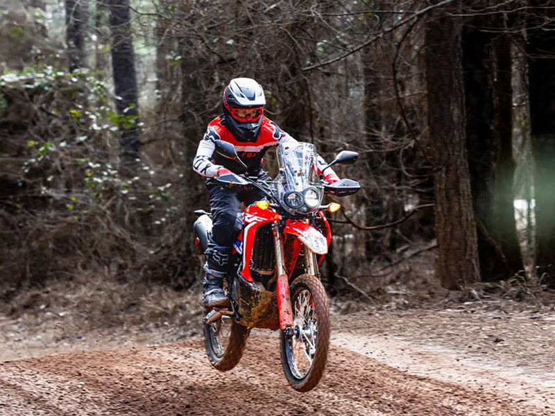 2024 Honda CRF300L Rally ABS in Mentor, Ohio - Photo 10