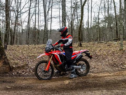 2024 Honda CRF300L Rally ABS in Mentor, Ohio - Photo 12