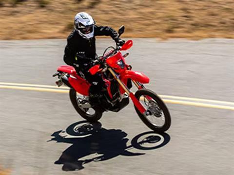 2024 Honda CRF450RL in West Bridgewater, Massachusetts - Photo 12