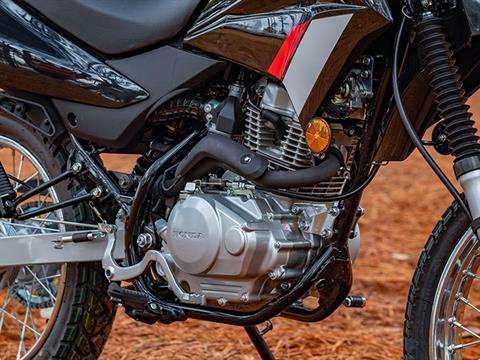 2024 Honda XR150L in Hollister, California - Photo 3