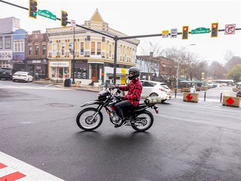 2024 Honda XR150L in Hollister, California - Photo 10