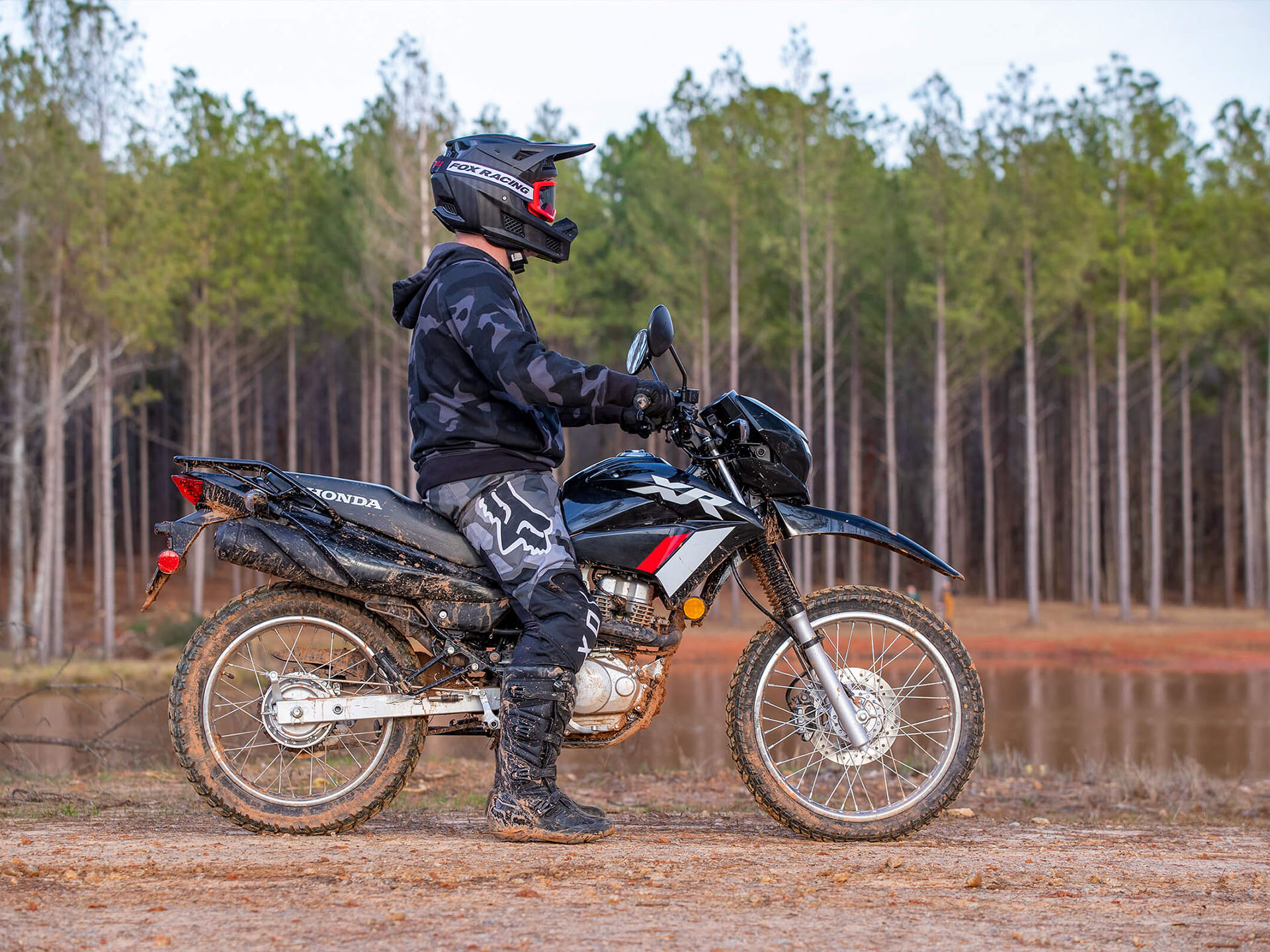 2024 Honda XR150L in Whiteland, Indiana