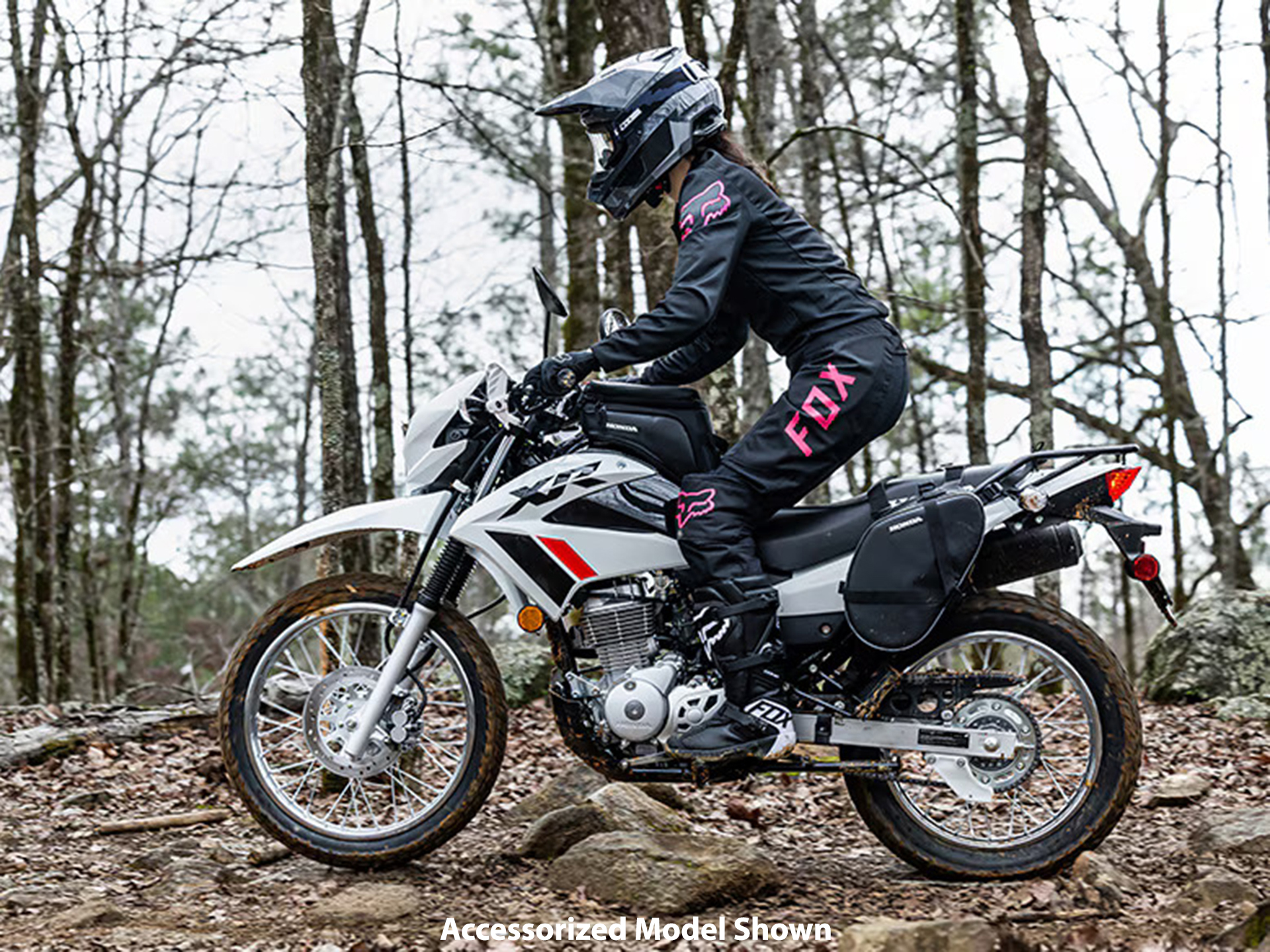 2024 Honda XR150L in Whiteland, Indiana