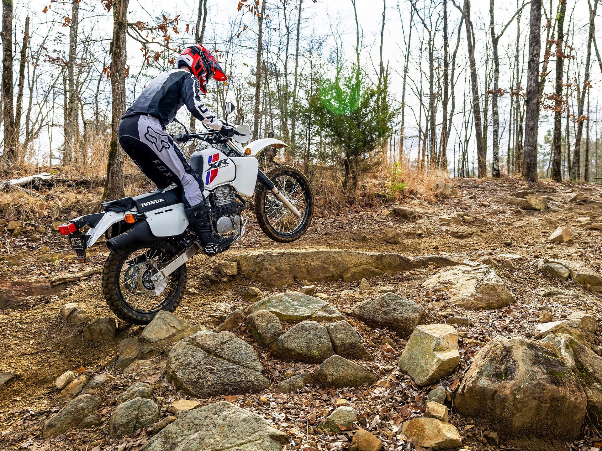 2024 Honda XR650L in Mentor, Ohio - Photo 10