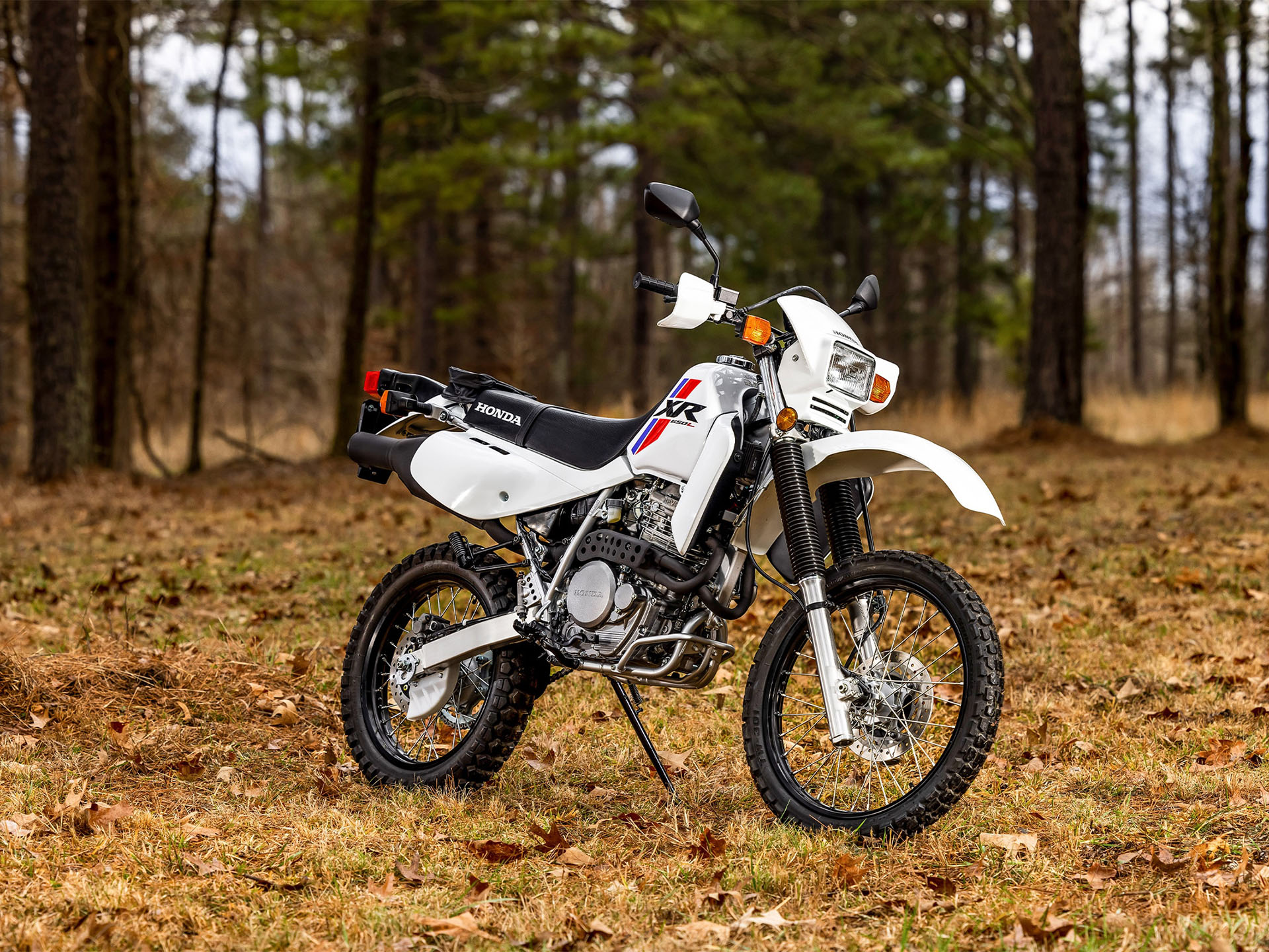 2024 Honda XR650L in Mentor, Ohio - Photo 11