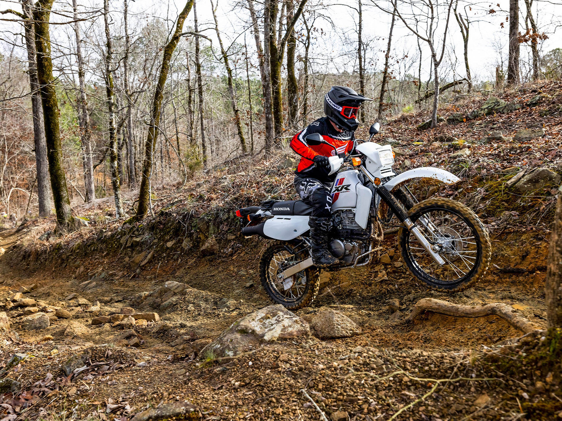 2024 Honda XR650L in Whiteland, Indiana - Photo 8