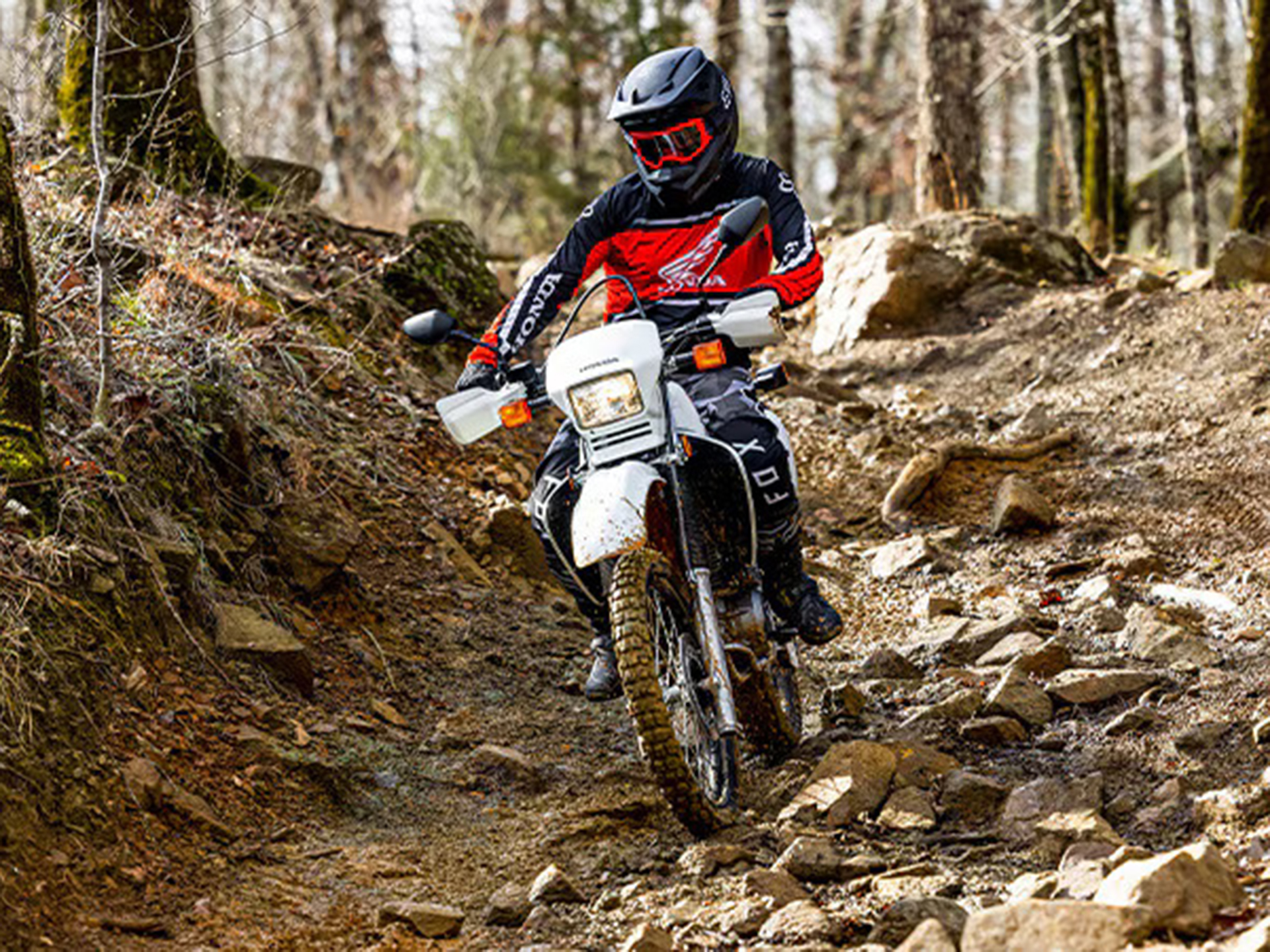 2024 Honda XR650L in Whiteland, Indiana