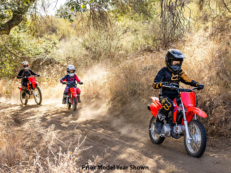 2024 Honda CRF110F in Marietta, Ohio - Photo 7