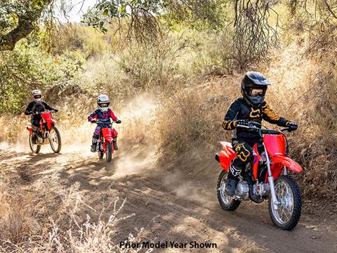 2024 Honda CRF110F in Mentor, Ohio - Photo 7