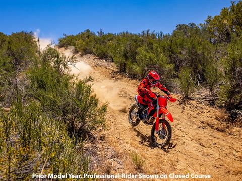 2024 Honda CRF250RX in Long Island City, New York - Photo 15