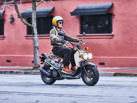 2024 Honda Ruckus in Mentor, Ohio - Photo 12