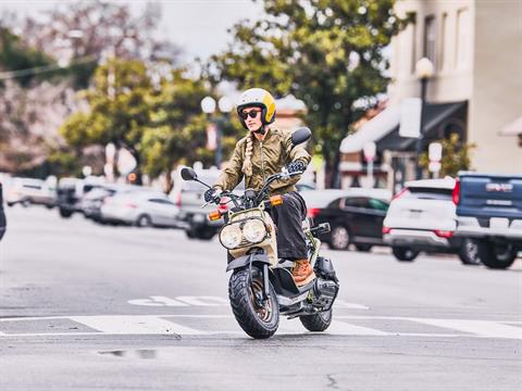2024 Honda Ruckus in Mentor, Ohio - Photo 14