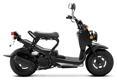 2024 Honda Ruckus in Mentor, Ohio - Photo 1