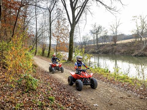 2025 Honda TRX90X in The Dalles, Oregon - Photo 9