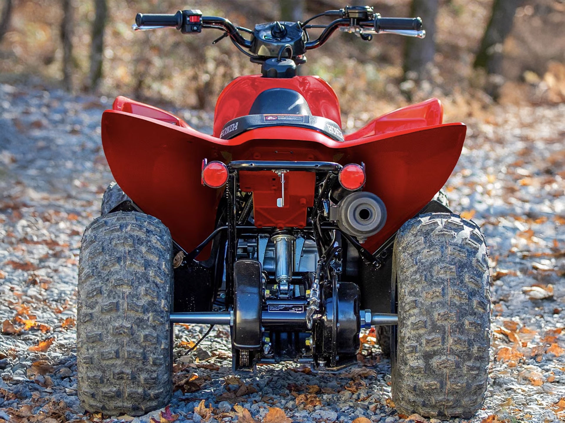 2025 Honda TRX90X in Whiteland, Indiana