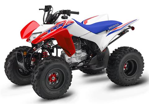 2025 Honda TRX250X in West Bridgewater, Massachusetts