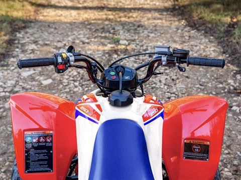 2025 Honda TRX250X in West Bridgewater, Massachusetts - Photo 2