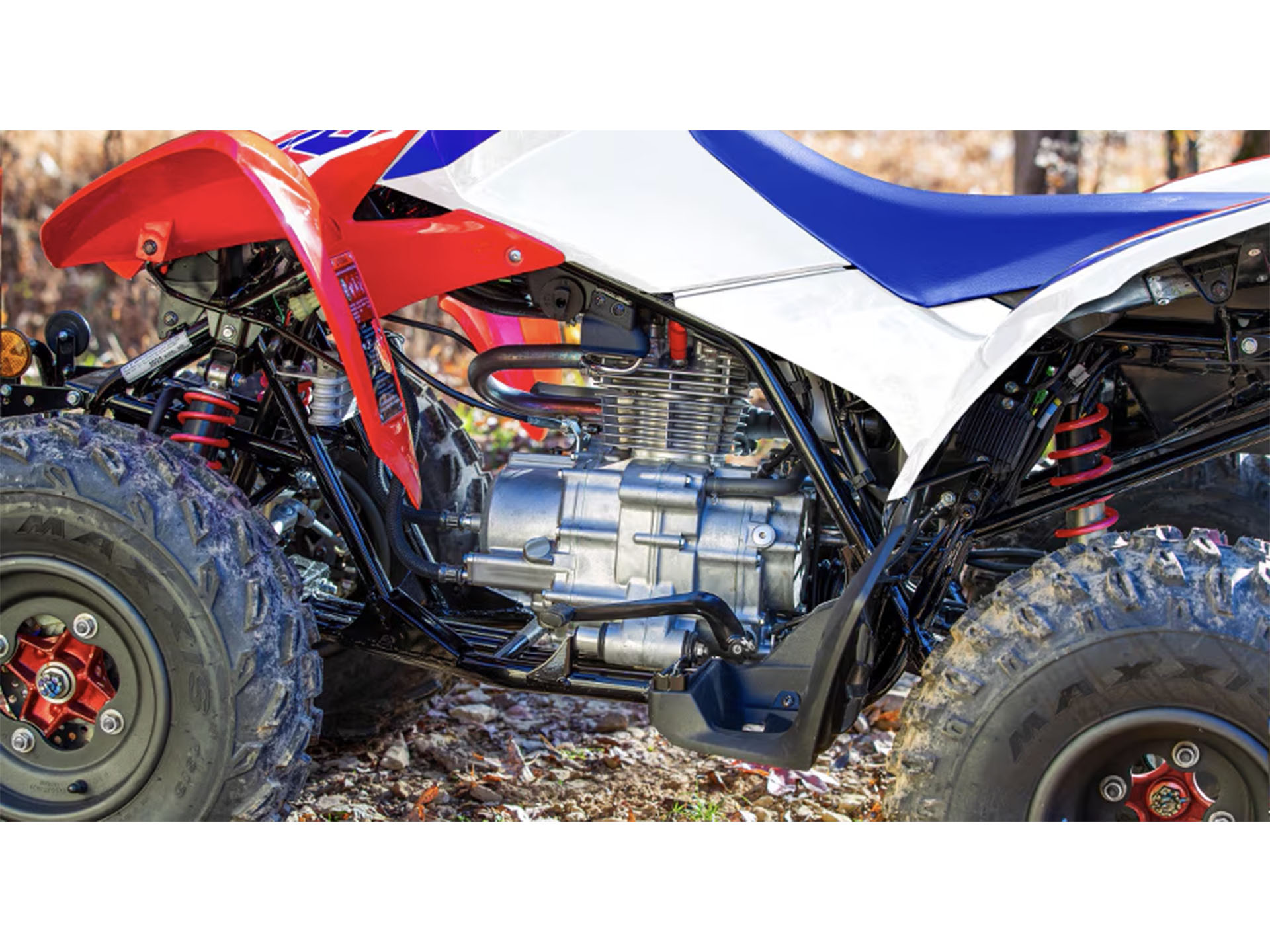 2025 Honda TRX250X in Houston, Texas