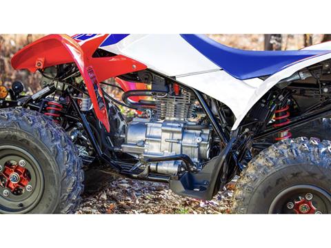 2025 Honda TRX250X in West Bridgewater, Massachusetts - Photo 3