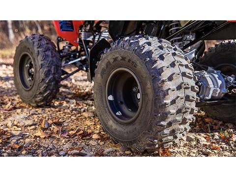 2025 Honda TRX250X in West Bridgewater, Massachusetts - Photo 4