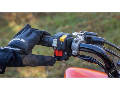 2025 Honda TRX250X in West Bridgewater, Massachusetts - Photo 6