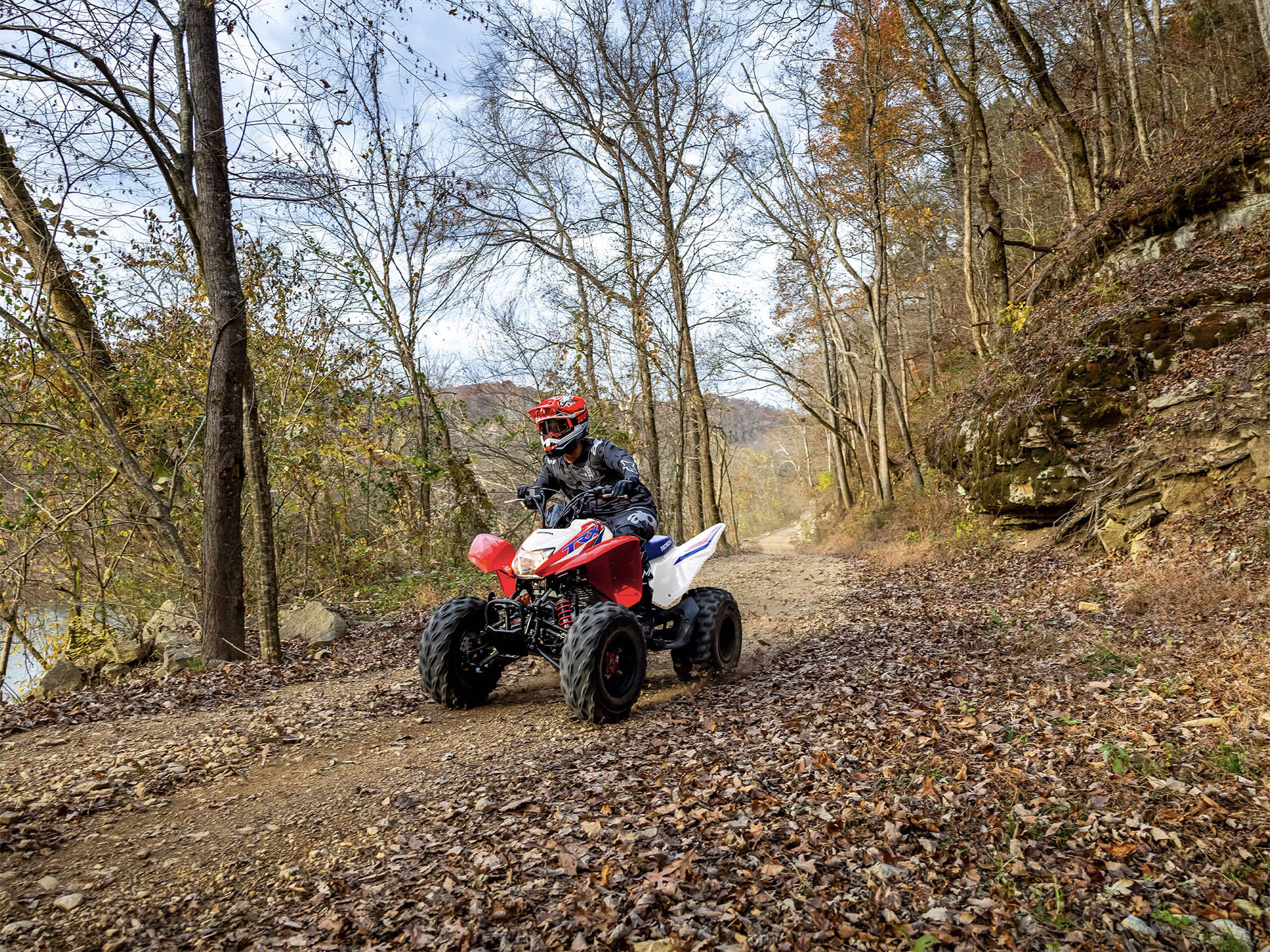 2025 Honda TRX250X in The Dalles, Oregon - Photo 7