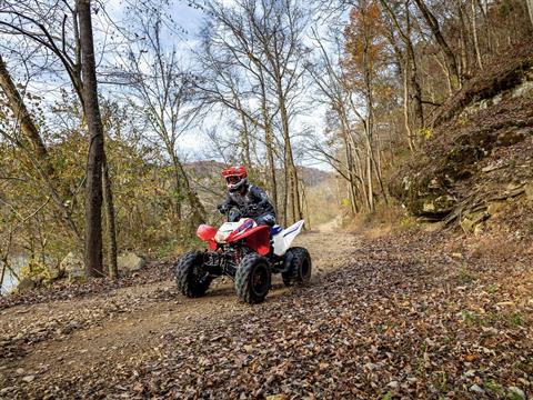 2025 Honda TRX250X in West Bridgewater, Massachusetts - Photo 7