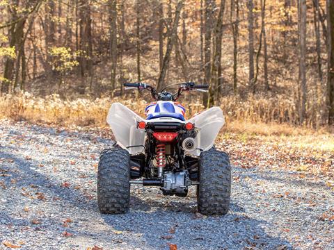 2025 Honda TRX250X in West Bridgewater, Massachusetts - Photo 8
