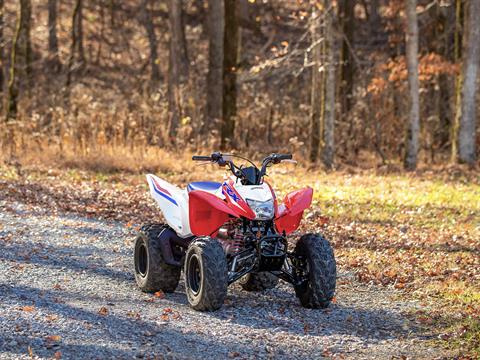 2025 Honda TRX250X in West Bridgewater, Massachusetts - Photo 9