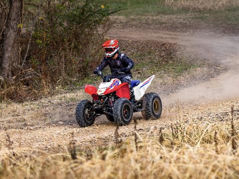 2025 Honda TRX250X in West Bridgewater, Massachusetts - Photo 10