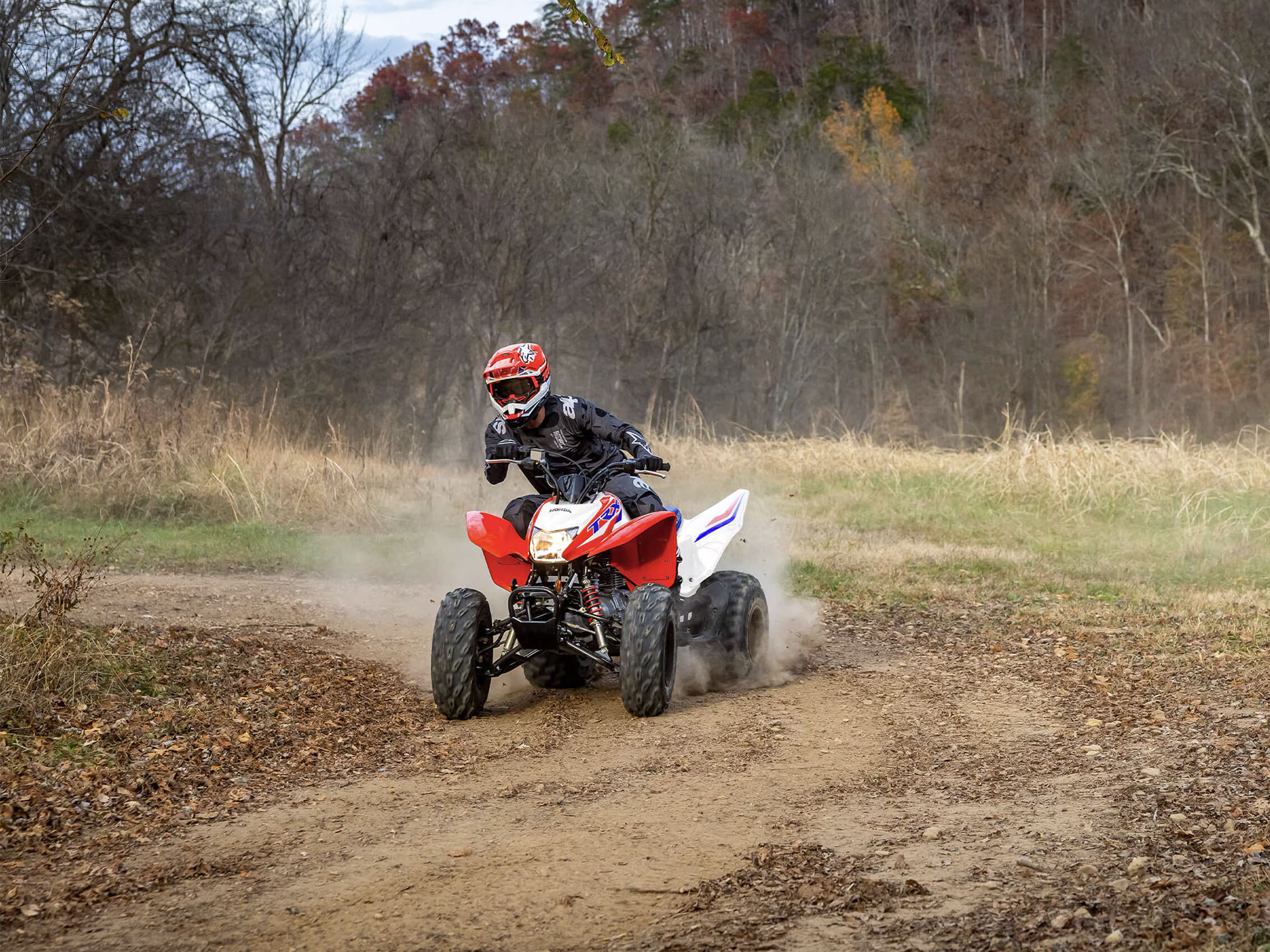 2025 Honda TRX250X in Houston, Texas - Photo 11