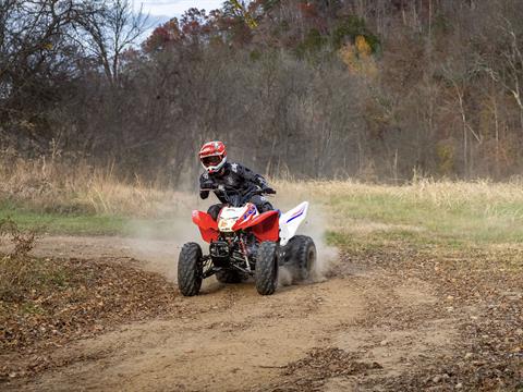 2025 Honda TRX250X in West Bridgewater, Massachusetts - Photo 11
