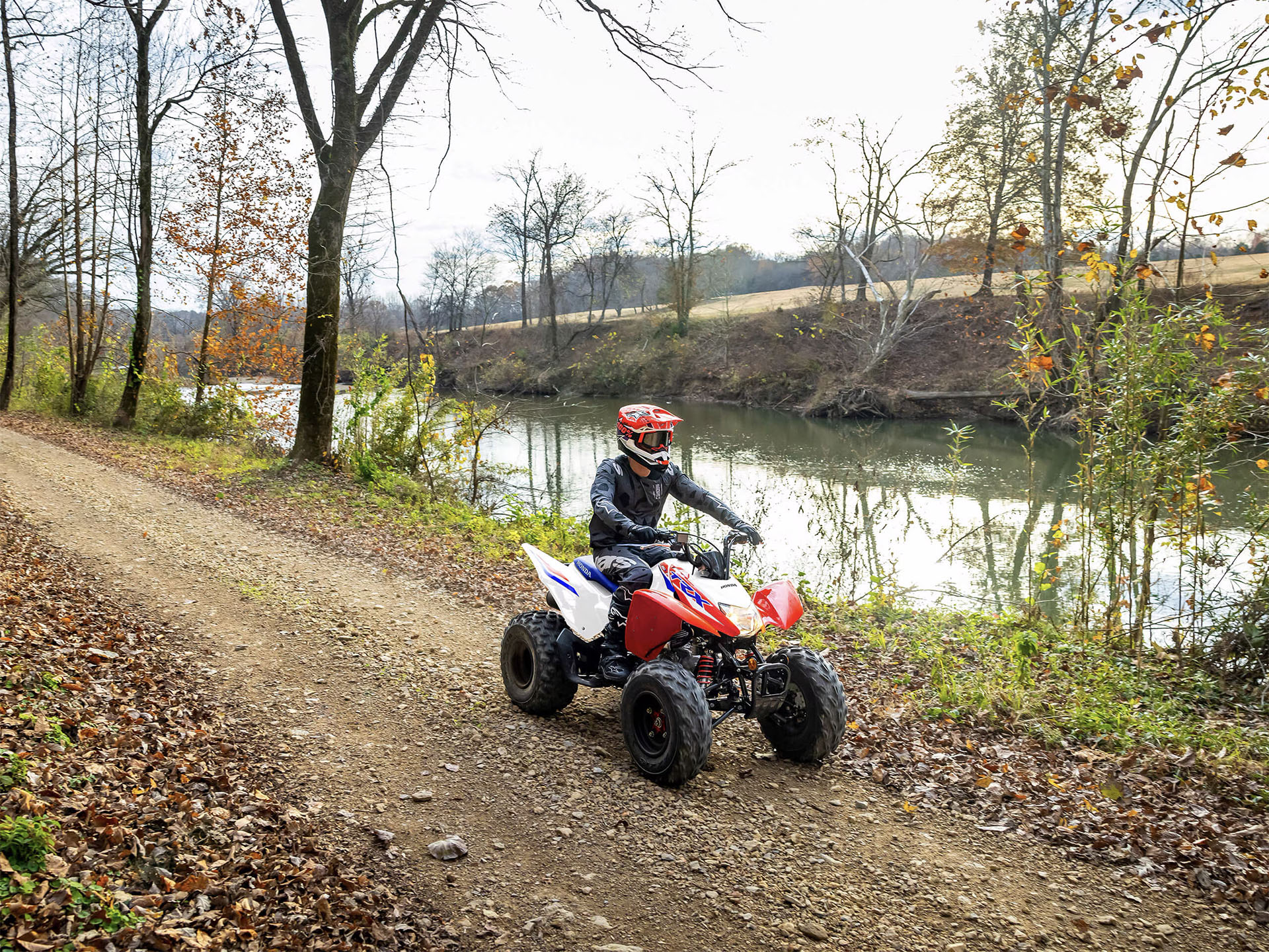 2025 Honda TRX250X in Lafayette, Indiana