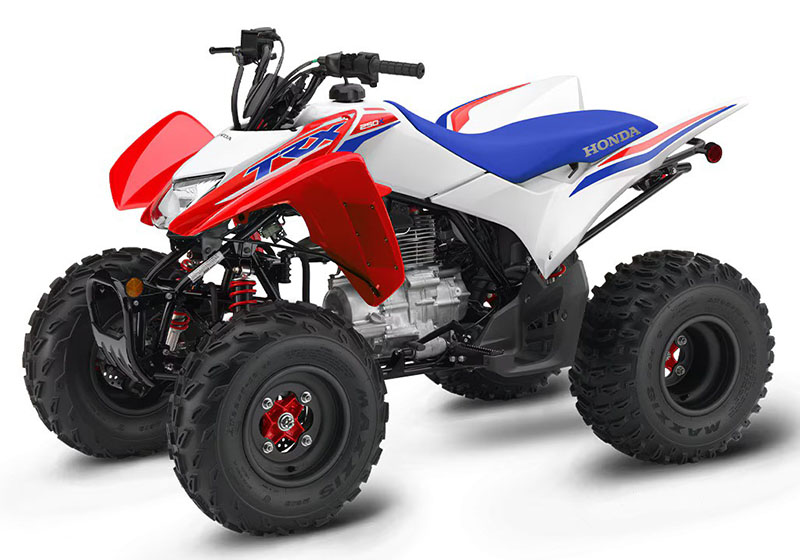 2025 Honda TRX250X in The Dalles, Oregon - Photo 1