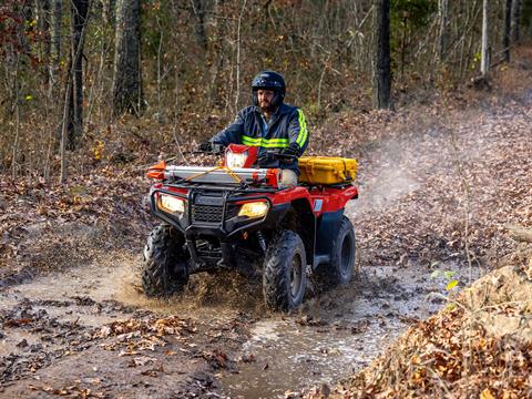 2025 Honda FourTrax Foreman 4x4 EPS in The Dalles, Oregon - Photo 9