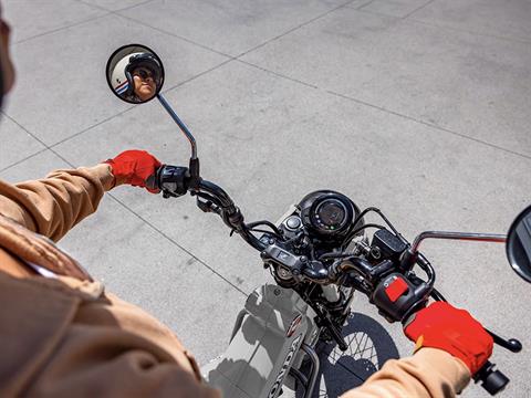 2025 Honda Trail125 in Mentor, Ohio - Photo 2