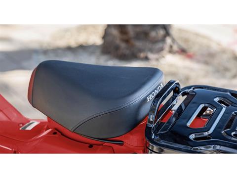 2025 Honda Trail125 in Mentor, Ohio - Photo 10