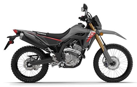 2025 Honda CRF300LS in Huron, Ohio