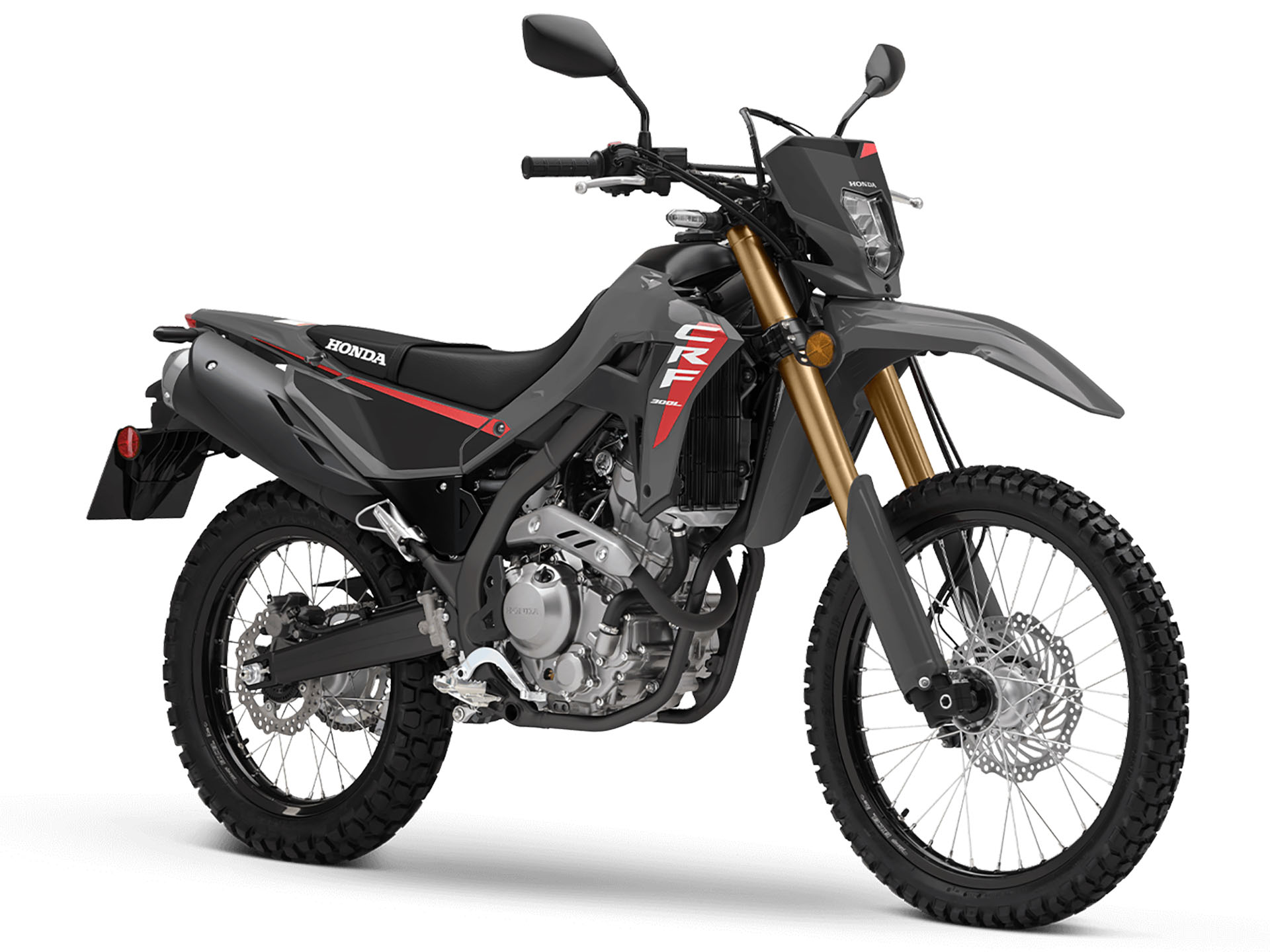 2025 Honda CRF300LS in West Bridgewater, Massachusetts - Photo 2