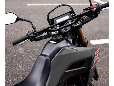 2025 Honda CRF300LS in West Bridgewater, Massachusetts - Photo 3