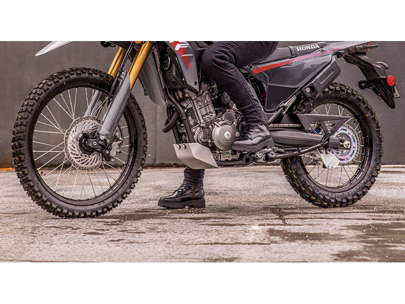2025 Honda CRF300LS in West Bridgewater, Massachusetts - Photo 5