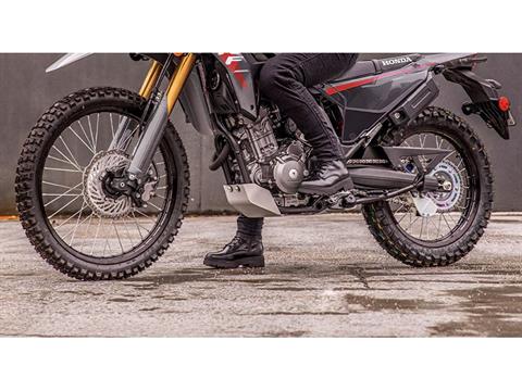 2025 Honda CRF300LS in West Bridgewater, Massachusetts - Photo 5
