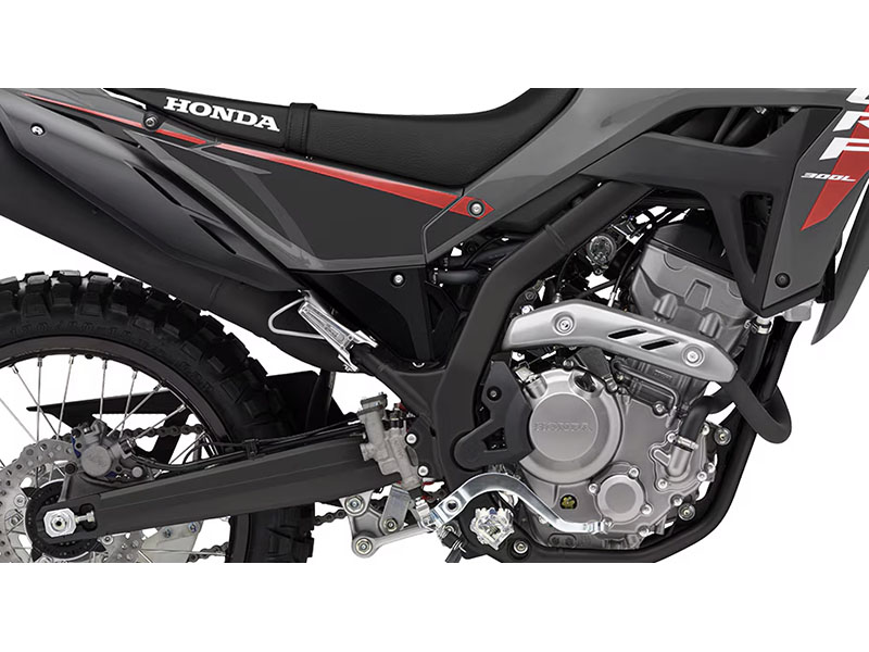 2025 Honda CRF300LS in West Bridgewater, Massachusetts - Photo 6
